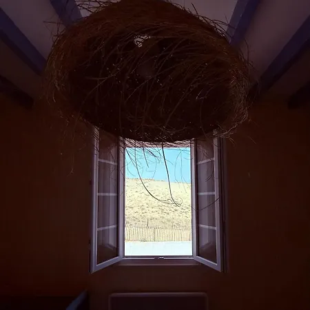 La Maison De La Dune Casa vacanze Mimizan-Plage
